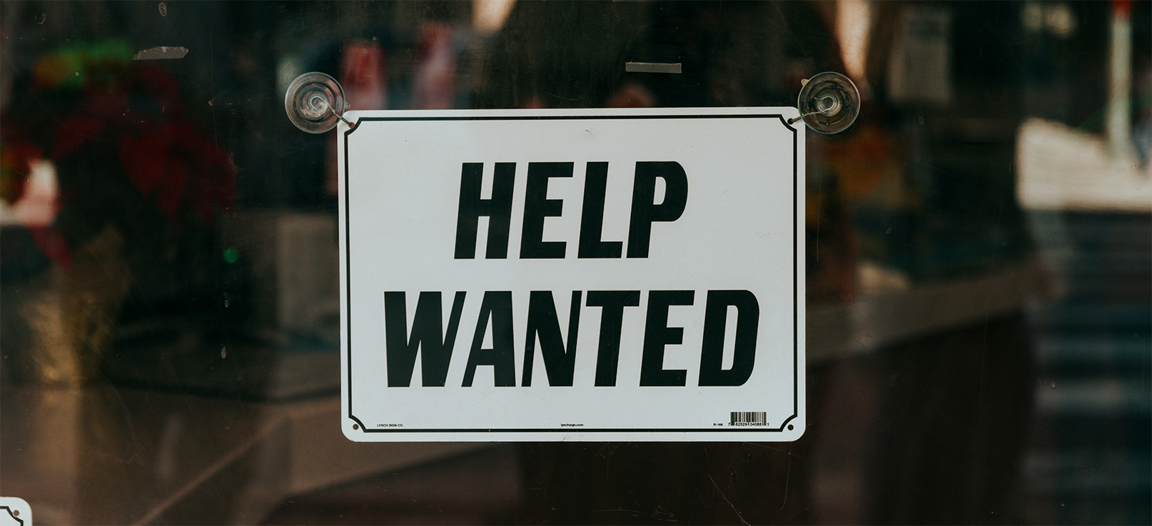 tirocini formativi per giovani con disabilità